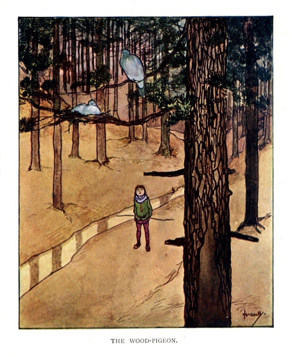 Dimensions 4410 x 5400 pixels