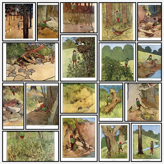 A snapshot of some of the images