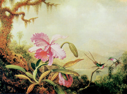 Dimensions 5070 x 3758 pixels