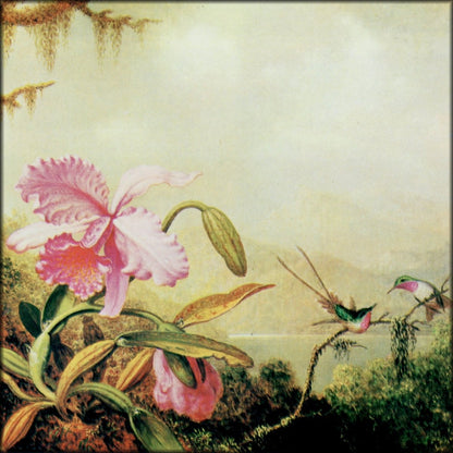 Digital Download - 1 image
