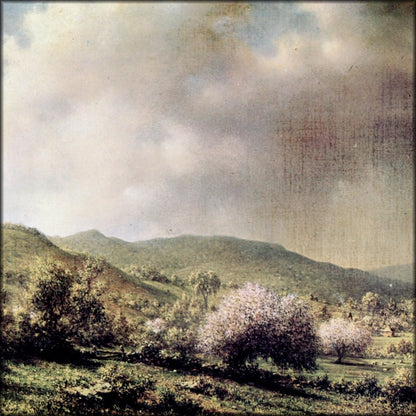 Digital Download - 1 image