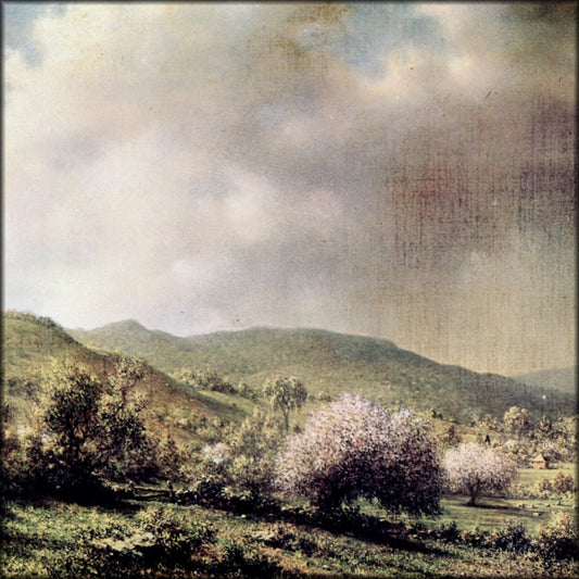 Digital Download - 1 image