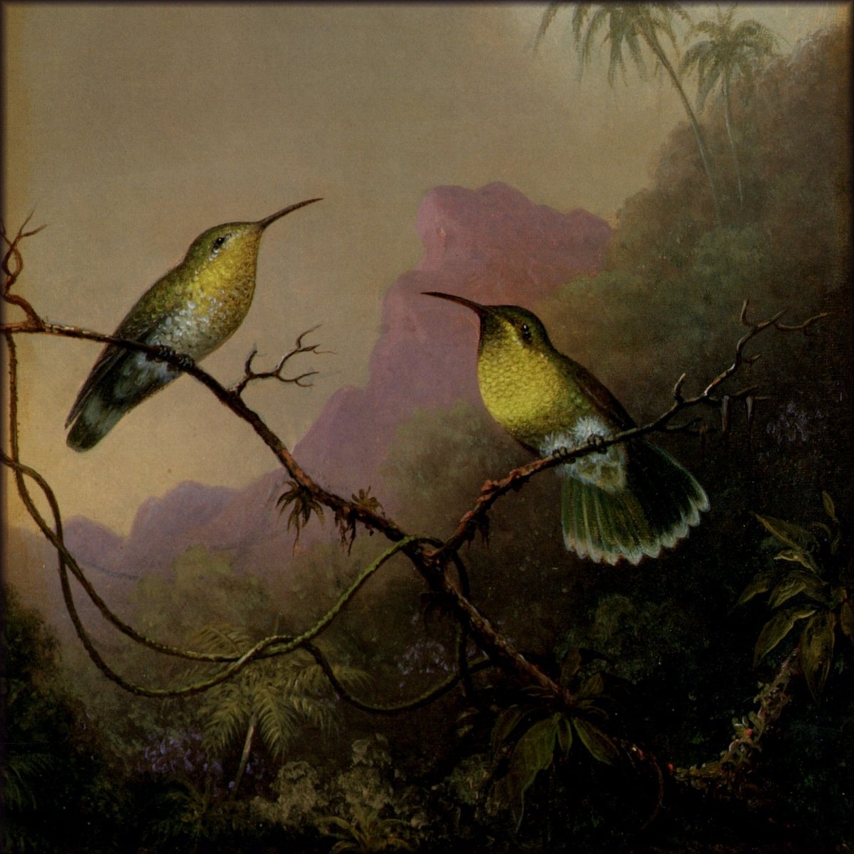 Digital Download - 1 image