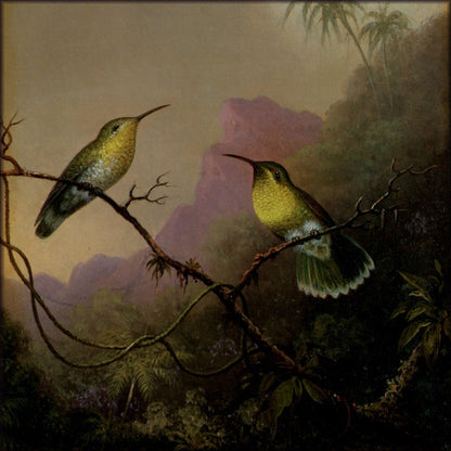 Digital Download - 1 image