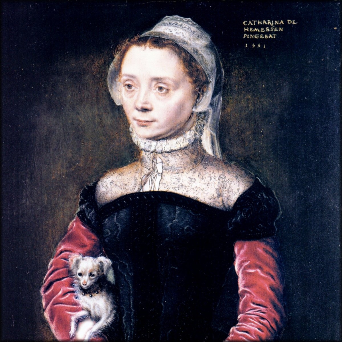 Digital Download - 1 image