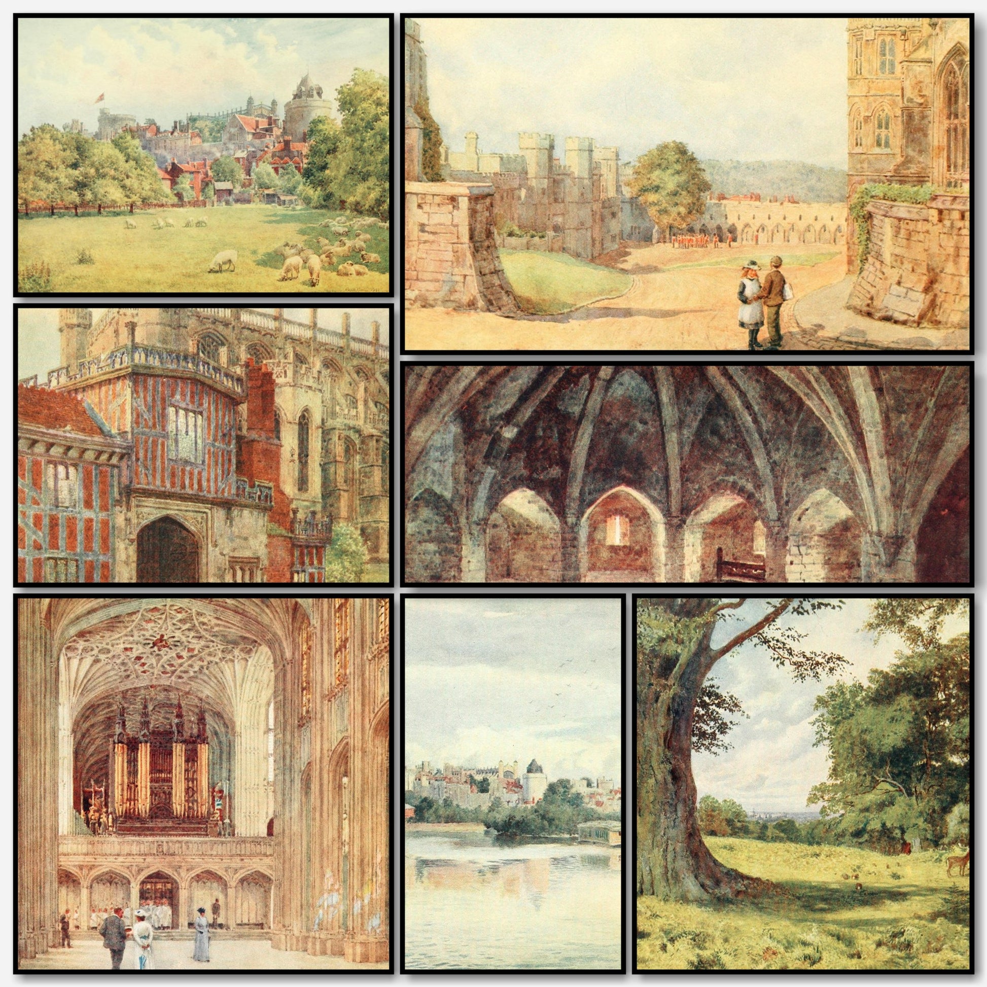 A snapshot of some of the images