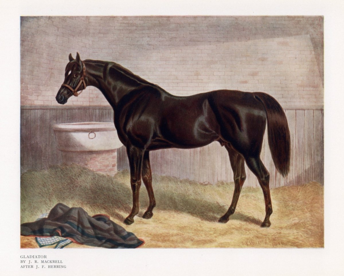 Sporting Prints of the 18th & 19th Centuries - Henry Alken | Dimensions 5768 x 4620 pixels