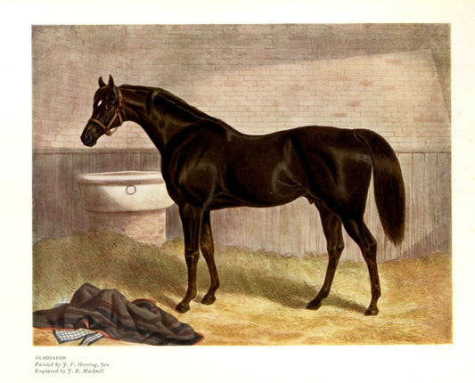 Dimensions 5760 x 4640 pixels