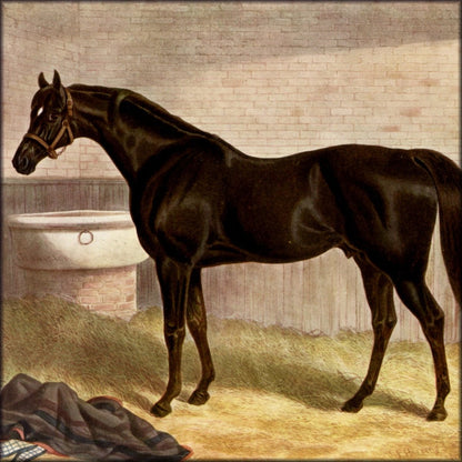 Digital Download - 1 image