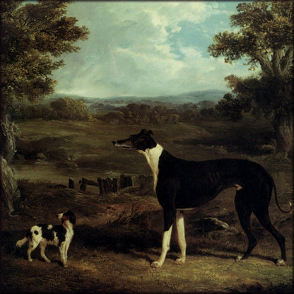 Digital Download - 1 image
