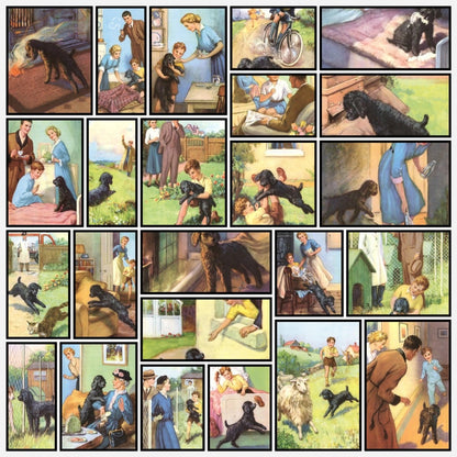 A snapshot of the images