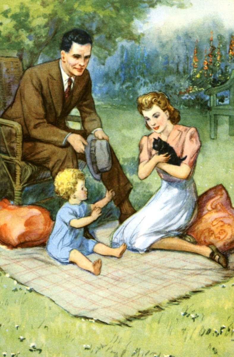 Dimensions 2646 x 4032 pixels