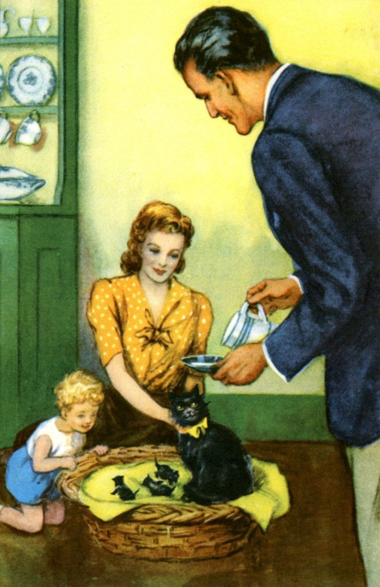 Dimensions 2619 x 4050 pixels