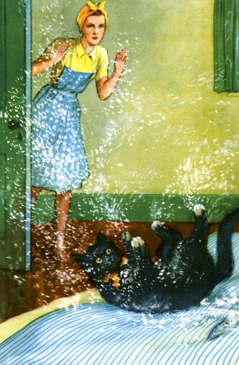 Dimensions 2636 x 4028 pixels