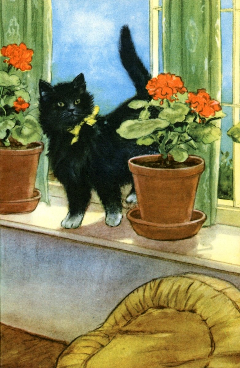 Dimensions 2640 x 4048 pixels