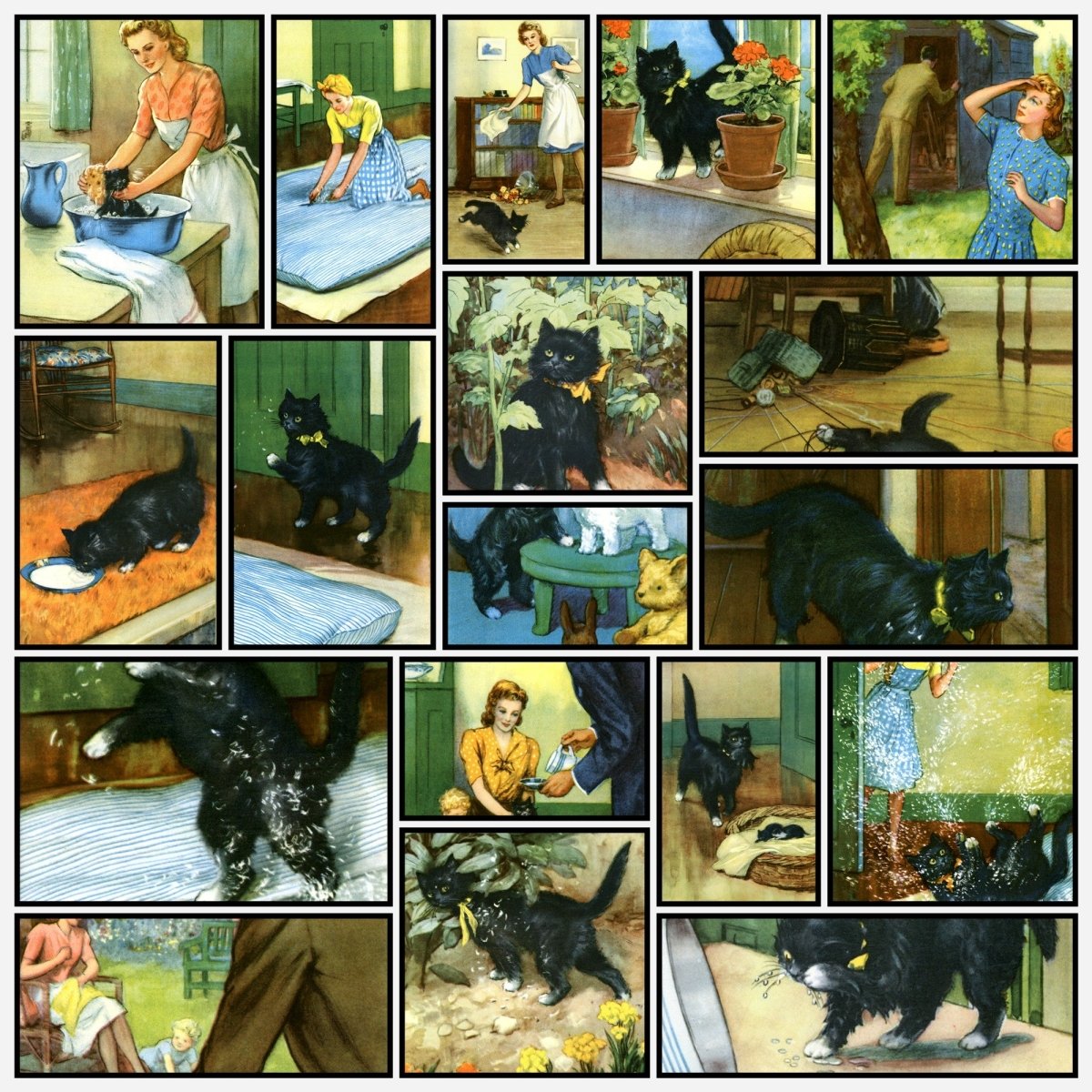 A snapshot of some of the images