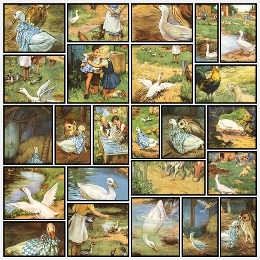 A snapshot of the images