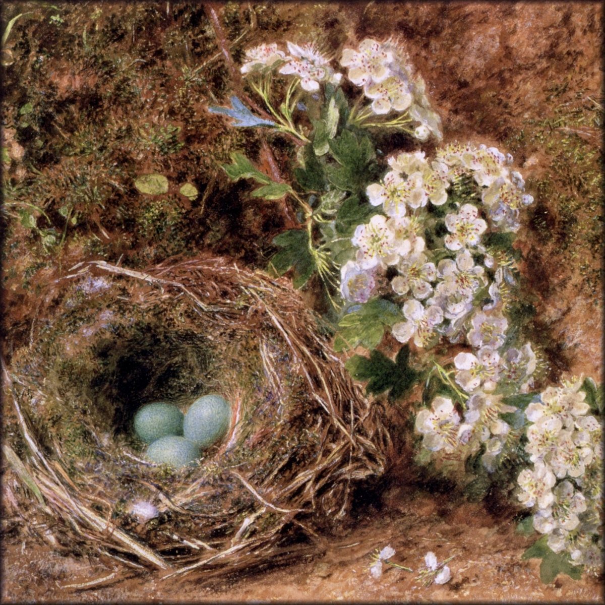 Digital Download - 1 image