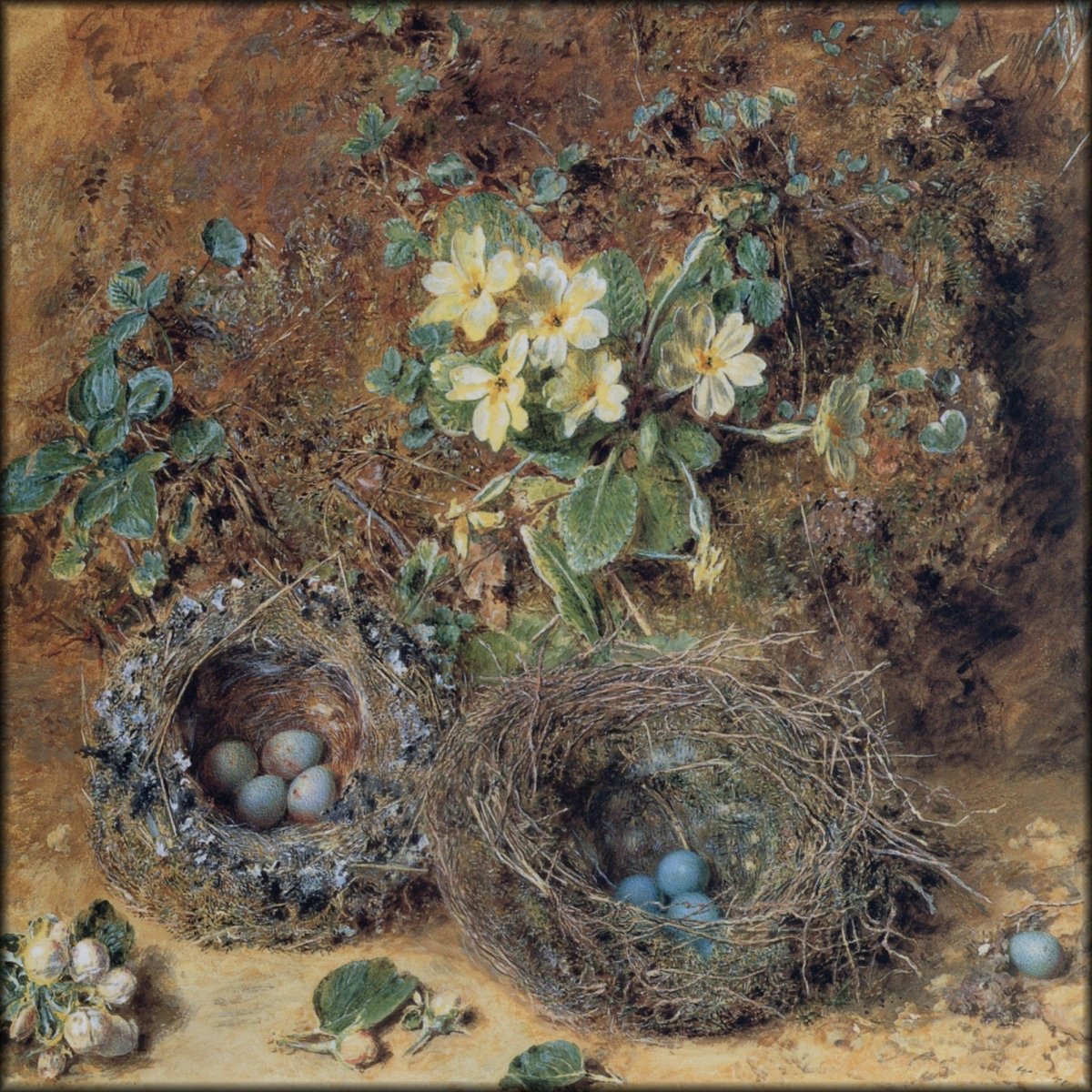 Digital Download - 1 image