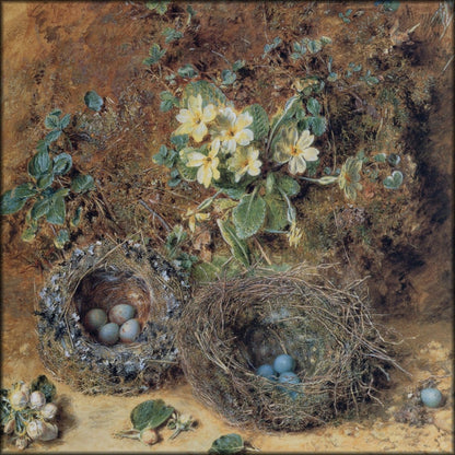 Digital Download - 1 image