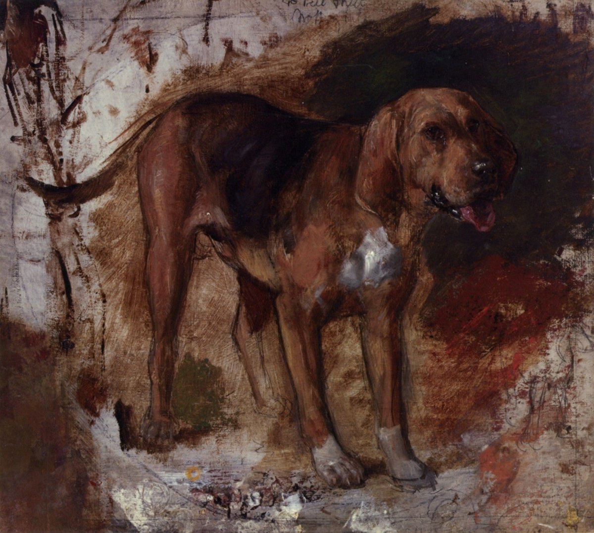 Dimensions 4417 x 3962 pixels