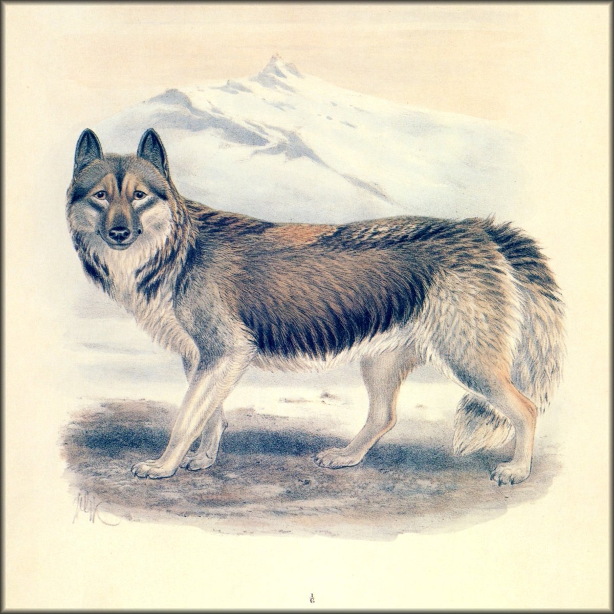 Digital Download - 1 image