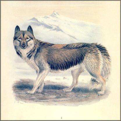 Digital Download - 1 image