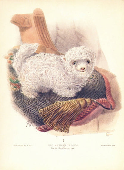 Dimensions 5076 x 6948 pixels