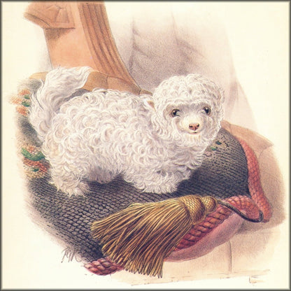 Digital Download - 1 image