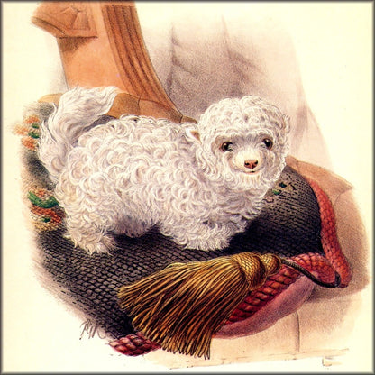 Digital Download - 1 image