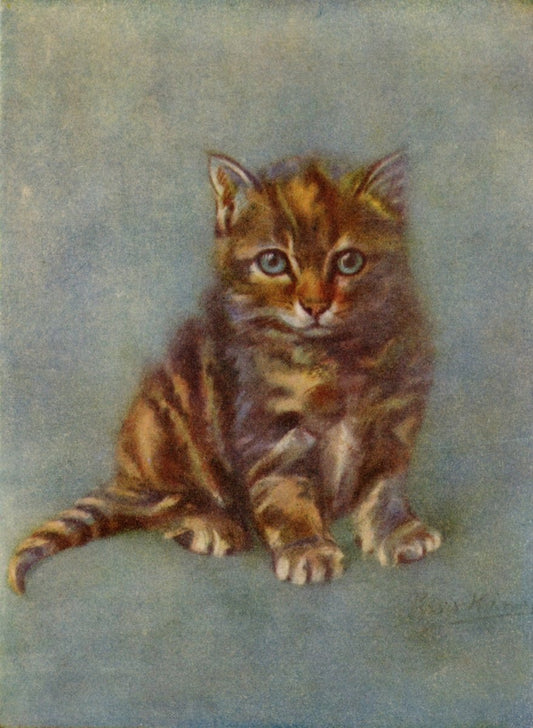 Dimensions 3480 x 4758 pixels