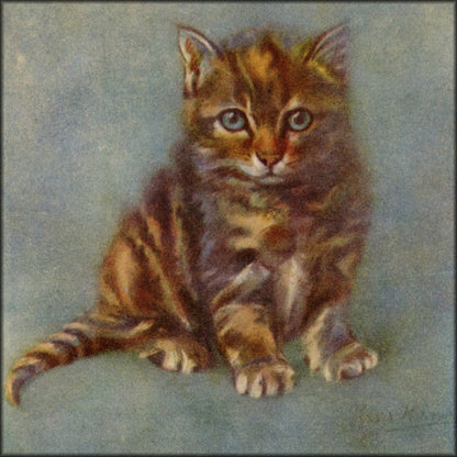 Digital Download - 1 image