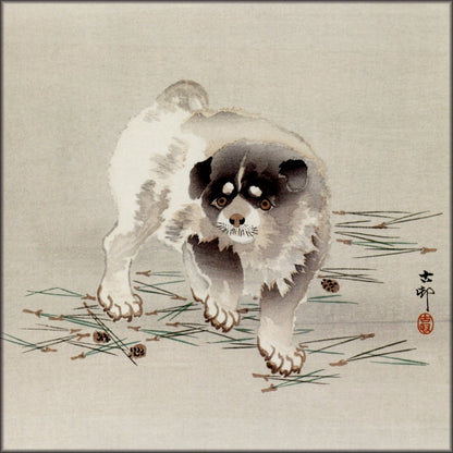 Digital Download - 1 image