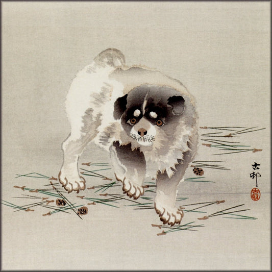 Digital Download - 1 image