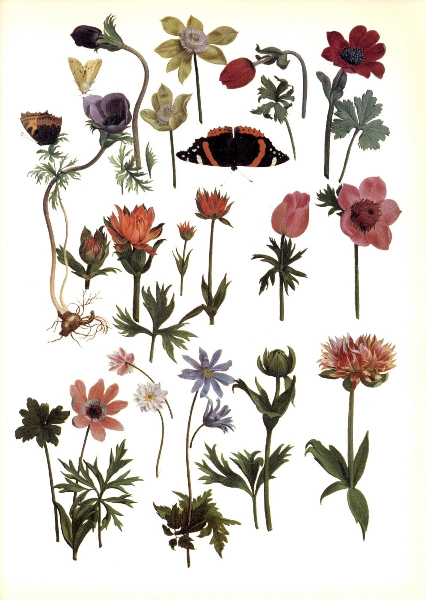 Dimensions 6360 x 8952 pixels