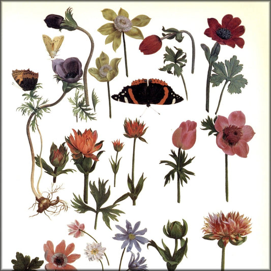 Digital Download - 1 image