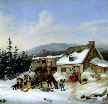 Animals in the Snow - 101 High Resolution Images | Dimensions 6510 x 6240 pixels