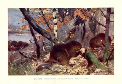 Dimensions 5208 x 3568 pixels