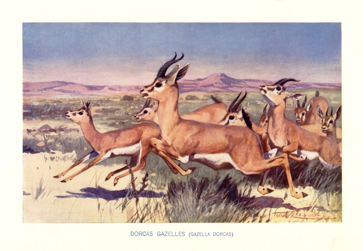 Dimensions 5118 x 3542 pixels