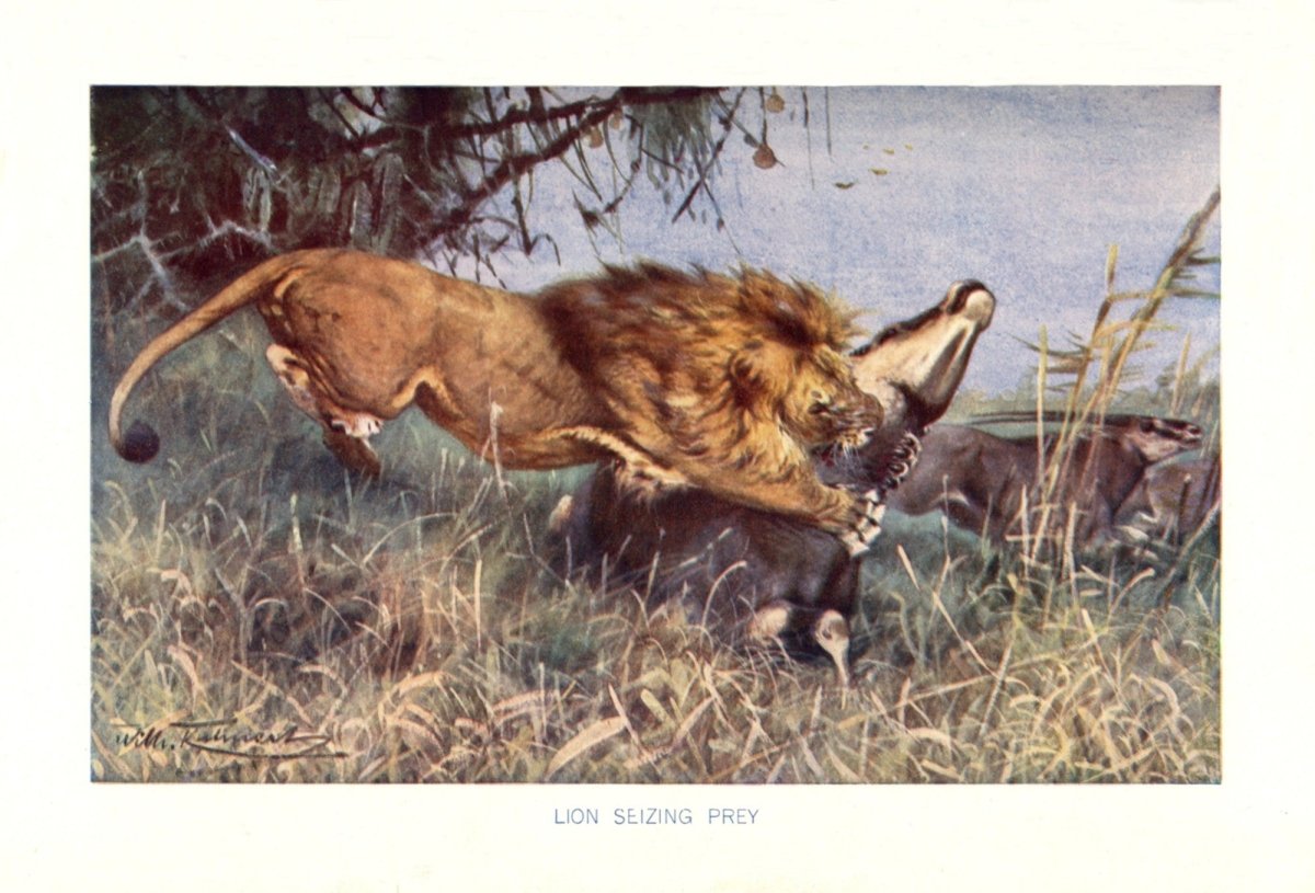 Dimensions 5232 x 3552 pixels