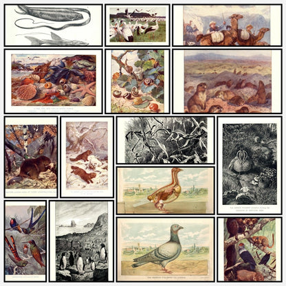 A snapshot of the images