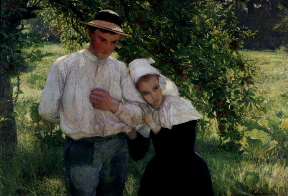 Dimensions 5056 x 3448 pixels