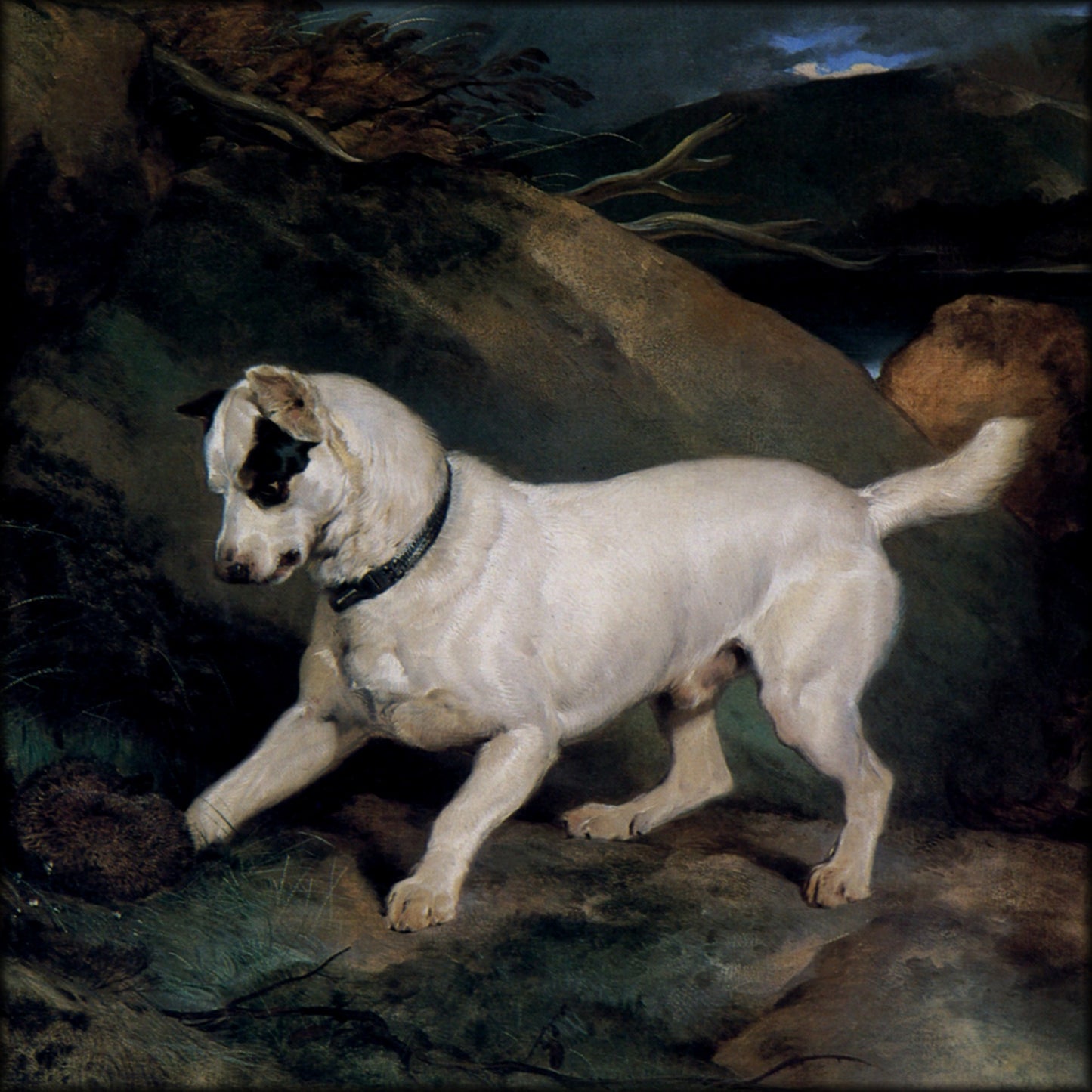 Digital Download - 1 image