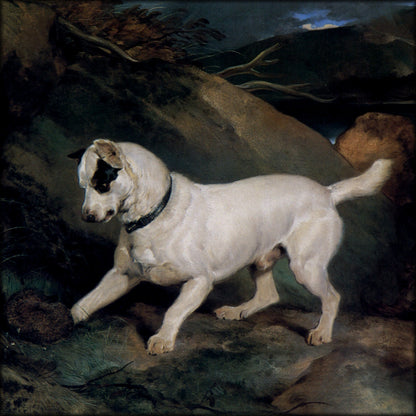 Digital Download - 1 image