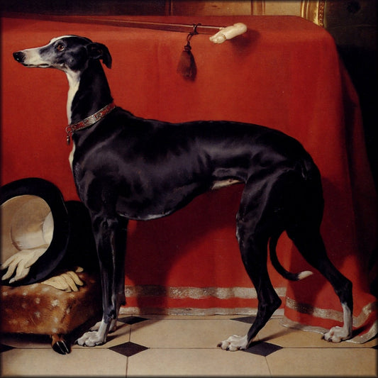 Digital Download - 1 image