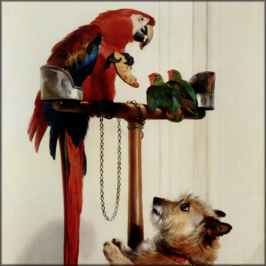 Digital Download - 1 image