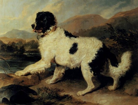 Dimensions 5560 x 4240 pixels