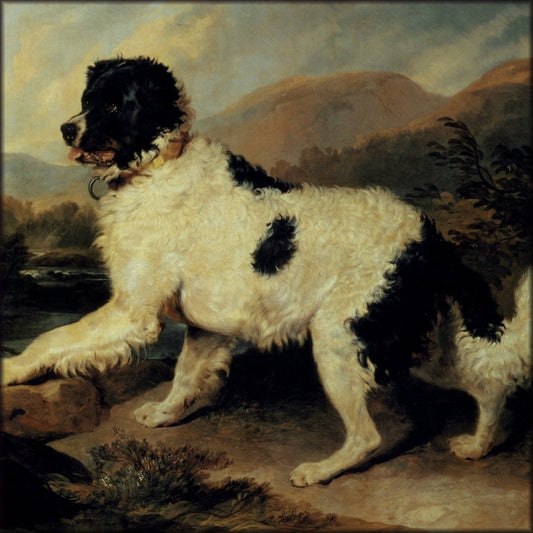 Digital Download - 1 image