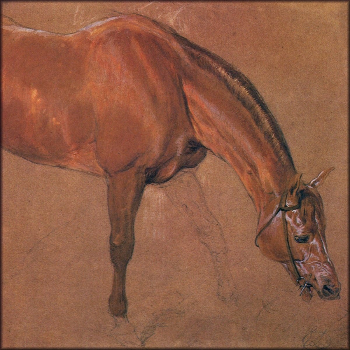 Digital Download - 1 image