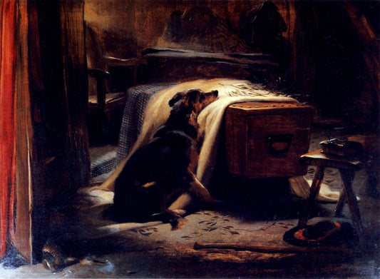 Dimensions 5562 x 4080 pixels